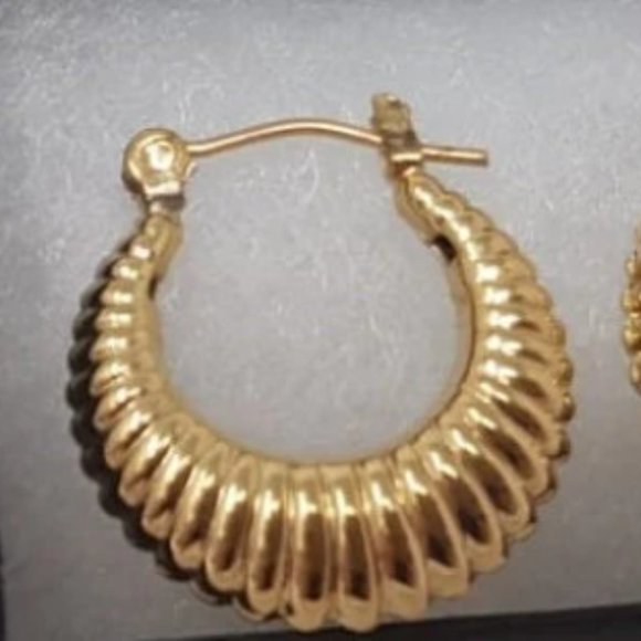 Earings/Twisted Hoop Gold filled Earrings - Picture 1 of 2